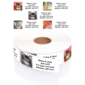 A rectangular personalized address label displayed above a large roll of matching labels, showcasing five adorable, rotating kitten photograph designs.