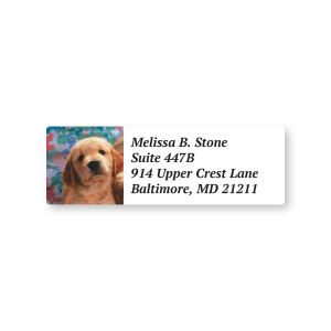 Rectangular white address label featuring a golden retriever puppy photo alongside custom four-line return address text in italic font.