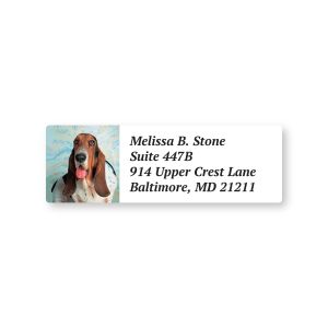 Personalized Basset Hound sheeted address label displaying a cute photo of a Basset Hound alongside custom return address text.