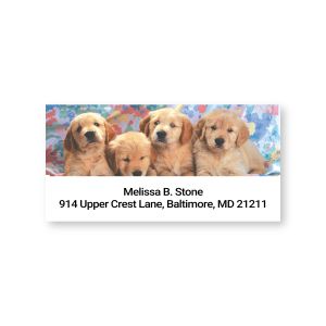 A close-up of a rectangular address label featuring a beautiful photo of four adorable golden retriever puppies side-by-side next to custom text.