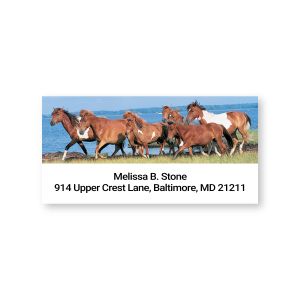 A close-up of a rectangular address label featuring a beautiful photograph of a herd of wild horses running on a beach alongside custom text.