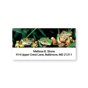 Personalized rectangular address label featuring vibrant red-eyed tree frogs on green foliage above custom name and address text lines.