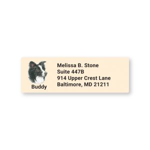 Rectangular Border Collie address label with a portrait illustration of a black and white dog labeled Buddy next to custom address text.