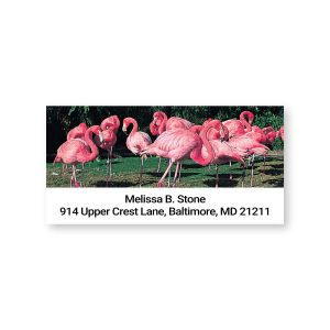 Single personalized address label featuring vibrant pink flamingos standing among green foliage above customized name and address text.