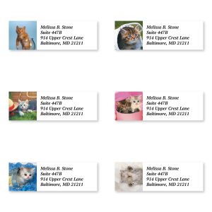 Sheeted personalized address labels set of six featuring different cat photographs alongside customized multi-line name and address text.