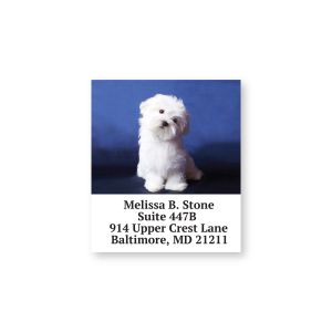 Close-up view of a personalized Maltese address label displaying custom name and address text below a portrait of a white Maltese dog.