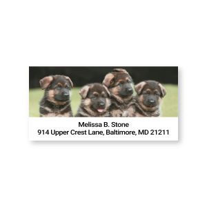 Personalized return address label featuring four cute German Shepherd puppies sitting in a row above custom multi-line name and address text.