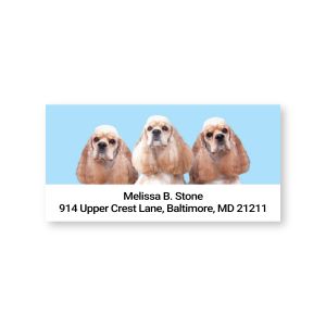 A personalized address label with three cute Cocker Spaniel puppies at the top above centered custom text on a solid background.