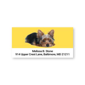 A close-up of a rectangular address label featuring an adorable Yorkshire Terrier illustration on a bright yellow backdrop next to custom text.