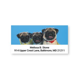 Rectangular personalized address label featuring three cute pugs against a bright blue sky, with a custom name and address.