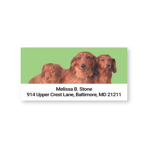 Rectangular Dachshund address label featuring three reddish-brown dachshund dogs against a light green background above personalized text.