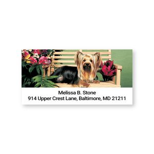 Rectangular Yorkie address label featuring a Yorkshire Terrier sitting on a garden bench with flowers next to custom address text.