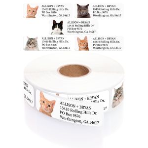 A paper roll of Assorted Cats address labels showcasing a cute orange tabby kitten portrait beside a classic four-line typography layout.