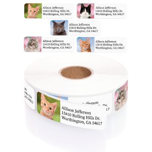 A paper roll of Alternating Colorful Cats address labels showcasing a cute orange tabby kitten illustration beside a clean typography layout template.