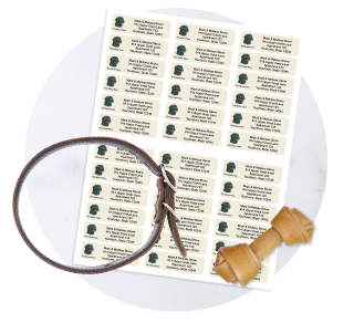 CL_Home_PetProductsV3