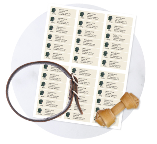 Shop Custom Pet Products at Current Labels