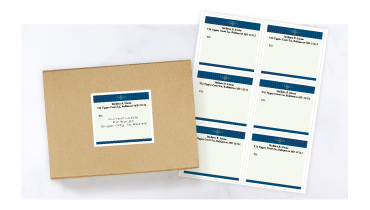 Large personalized shipping labels featuring decorative toile and holiday snowman borders.