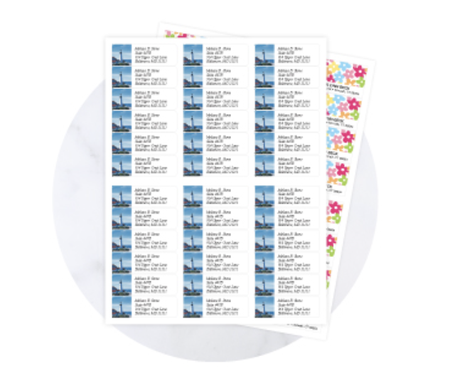 Screenshot_2025-03-13_at_3.45.19_PM